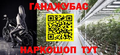 прущие грибы Коммунар
